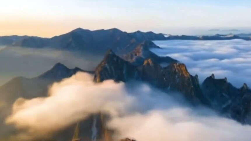 春日华山：云海翻涌 花开满园