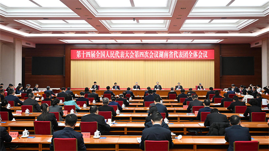 湖南代表团举行第五次全体会议和分组会议