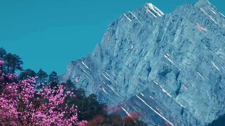 瞰中国｜四川雅安：东拉山大峡谷春季彩林如画