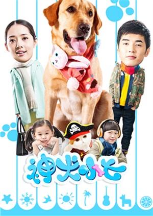 神犬小七第四季演员表图片
