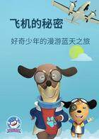飞机的秘密