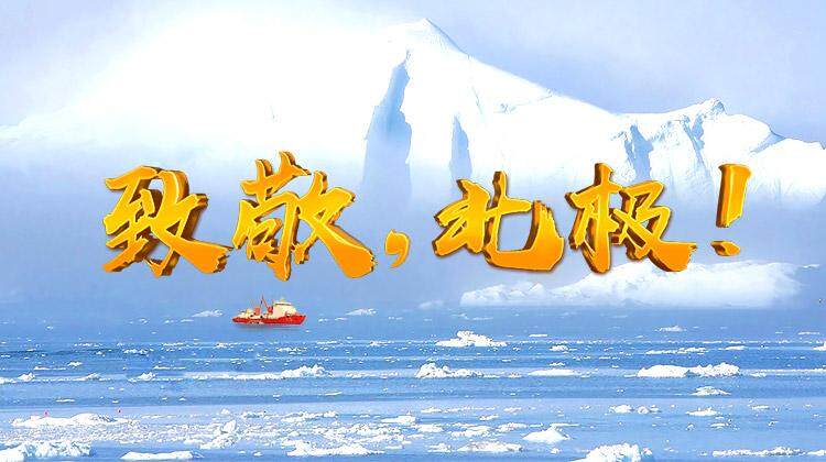 致敬北极