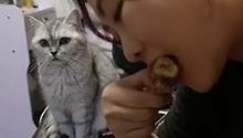 明明很想要，却装作无所谓