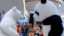 大熊猫与北极熊灵魂斗舞