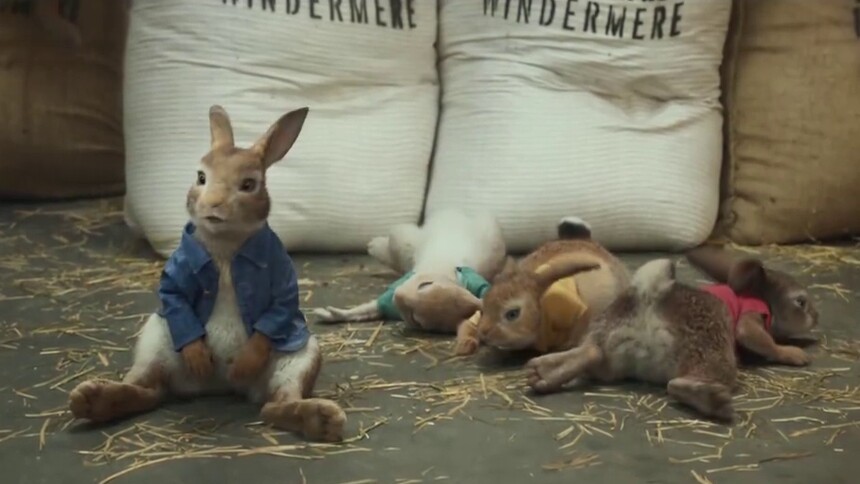 比得兔:百年名兔跨龄圈粉 - 高清视频在线观看 - 芒果tv