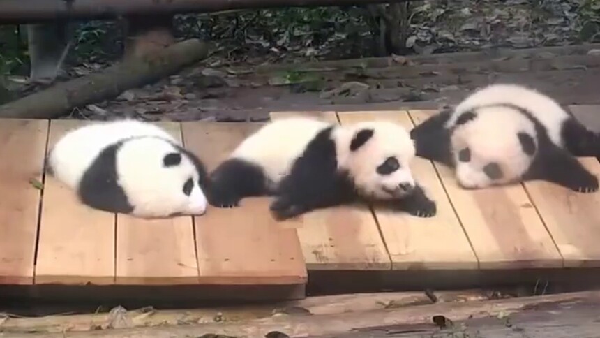 一家人就要整整齐齐,一家人要整整齐齐图片,一家人就该整整齐齐的(第2页)_大山谷图库