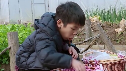 安迪吃红烧肉那叫一个豪迈,咘咘,大麟子吃饼干嘎