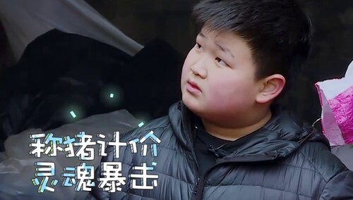 变形计 第十七季-综艺-高清视频在线观看-芒果tv