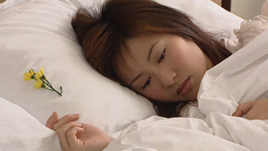 迷蝶 第9集-电视剧-高清视频在线观看-芒果tv