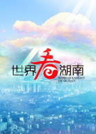 世界看湖南 2011
