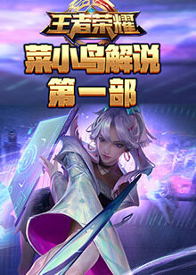 菜小鸟解说王者荣耀 第一部