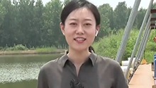 央视小姐姐带你打卡黄河鲤鱼的N种吃法