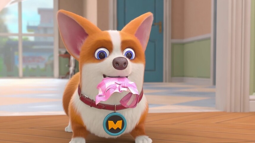 飞狗moco之小柯基的脑洞时刻第19集