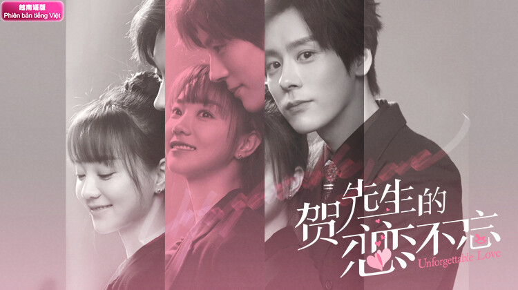 贺先生的恋恋不忘越南