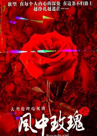 风中玫瑰封面图