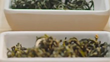 《湖南好有味》倒计时：茶叶篇