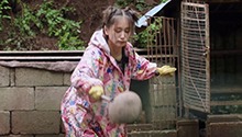 王子文保命式喂鸡