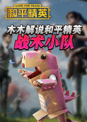 木木解说和平精英 战术小队