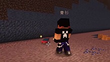 异色宝可梦