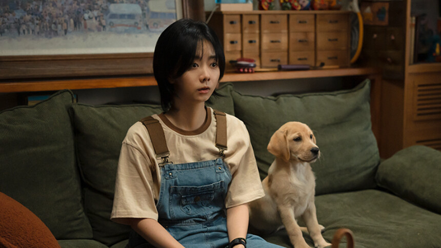 再见，李可乐-电影-最新高清视频在线观看-芒果TV