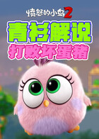 青衫解说愤怒的小鸟2 打败坏蛋猪