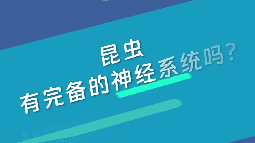 第6集 昆虫有完备的神经系统吗？