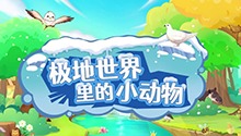 极地世界里的小动物