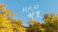 秋天的邮票