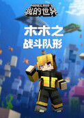 木木之我的世界 战斗队形