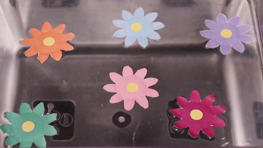 水中纸花的科学原理是什么？