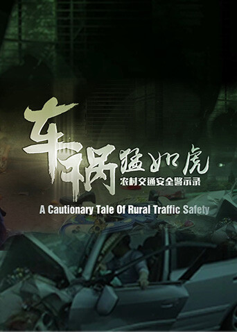 车祸猛如虎-农村交通安全警示录封面图