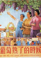 葡萄熟了的时候