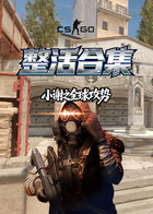 小谢之反恐精英：全球攻势 整活合集