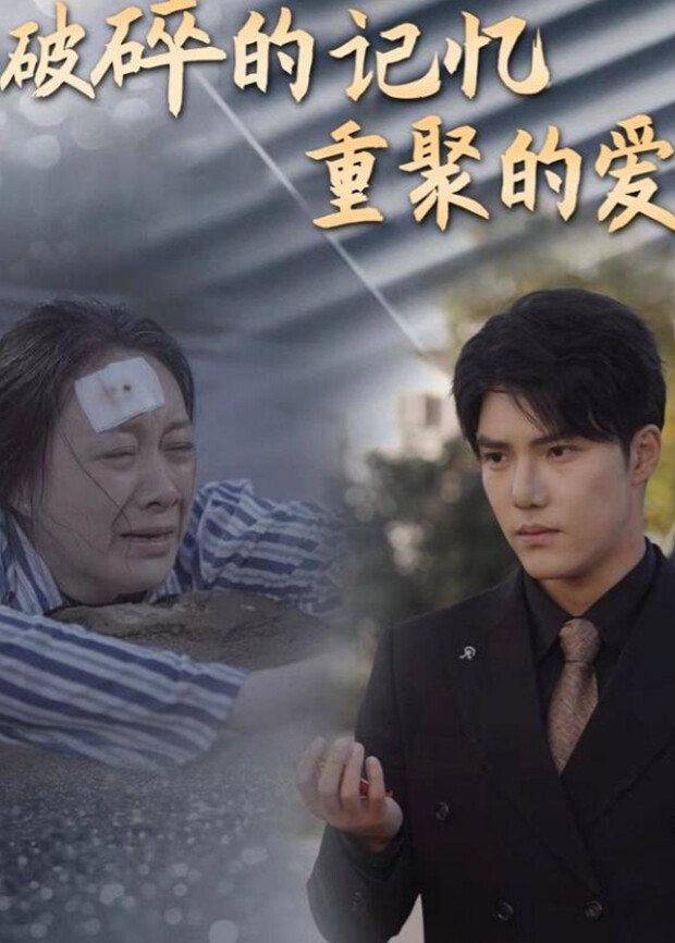 破碎的记忆重聚的爱