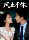 风止于你