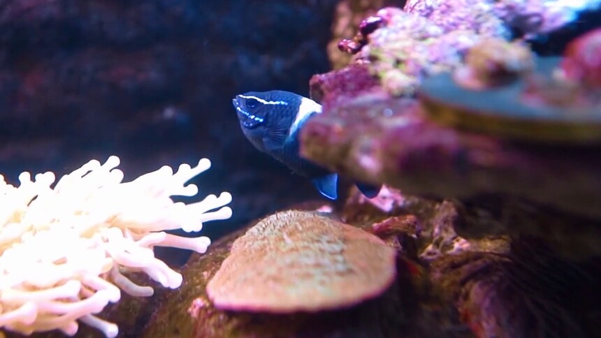 长沙海底世界的海底世界