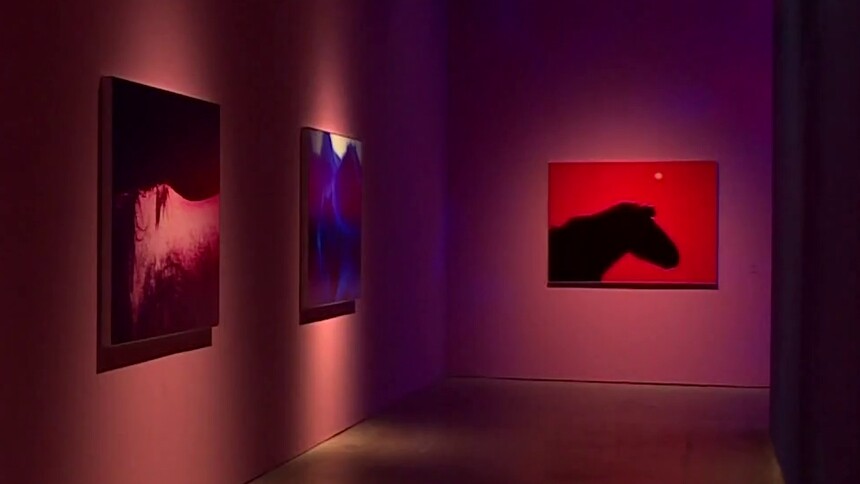 以马为镜 谢子龙摄影艺术展亮相长沙