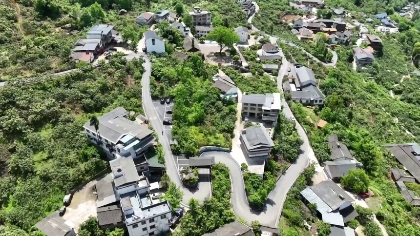 新华视点｜农业一线观察：数智兴农赋新章