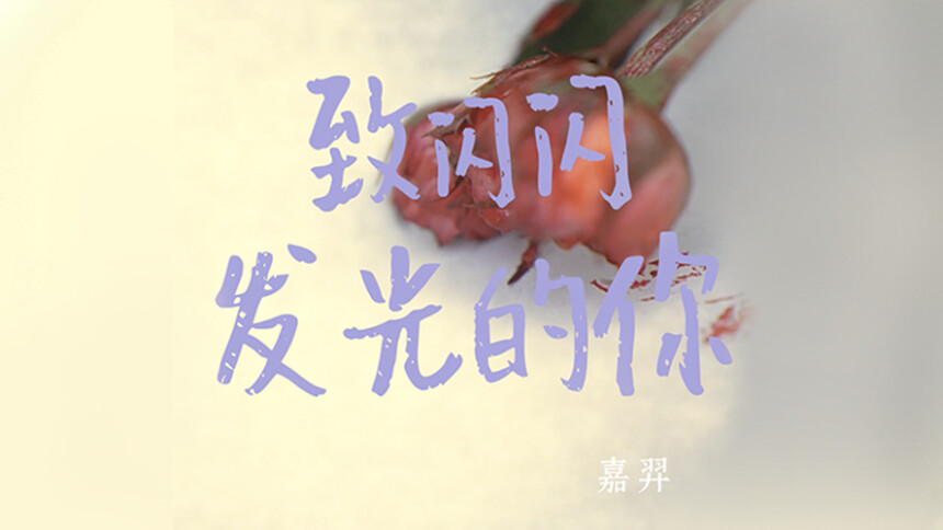 嘉羿《致闪闪发光的你》MV