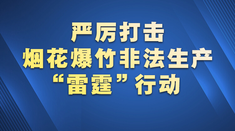 严厉打击烟花爆竹非法生产“雷霆”行动