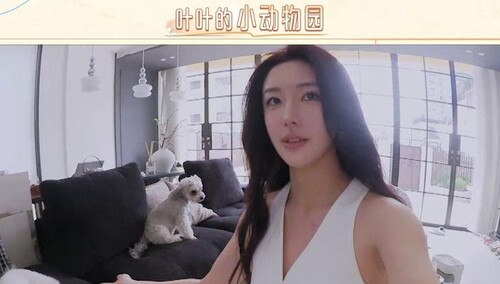家有动物园？超萌爱宠女孩叶萌自述恋爱史