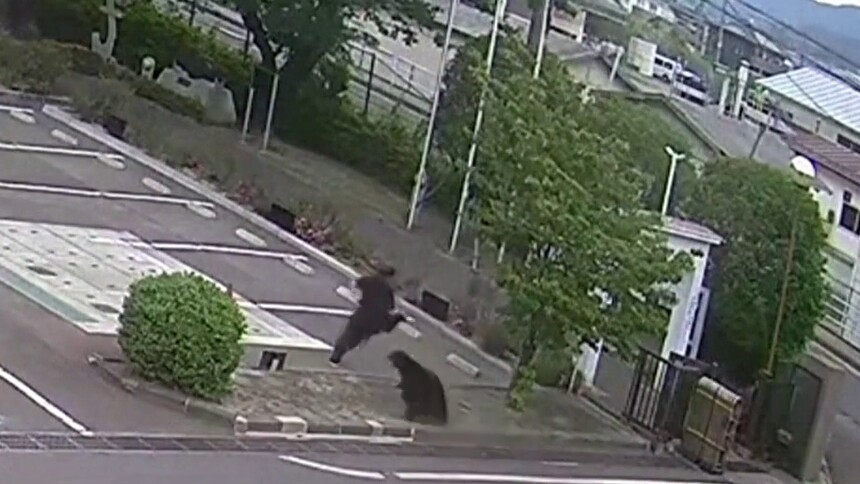 日本福岛市发生熊袭人事件 4人受伤