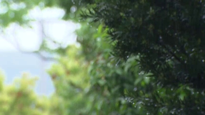 湖南提升暴雨应急响应至三级