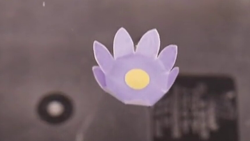 水中纸花的原理是什么？