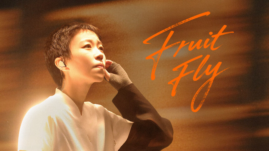 纯享版：窦靖童《Fruit Fly》