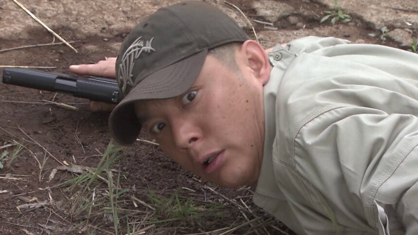 蜂鸟在天狼面前身亡