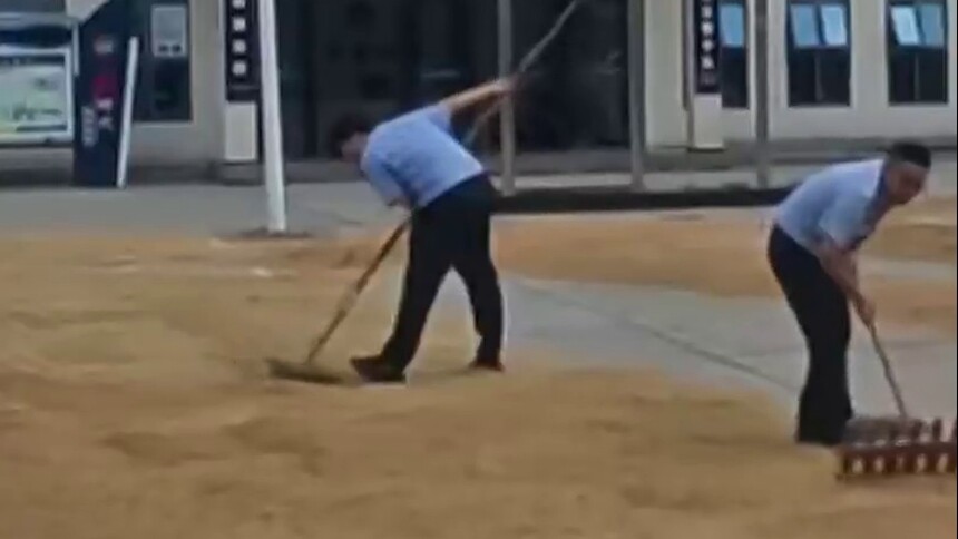 桃江牛田镇派出所“变身”晒谷场 “这里晒谷很安全 还有临时休息室” 点赞“人民公安为人民”