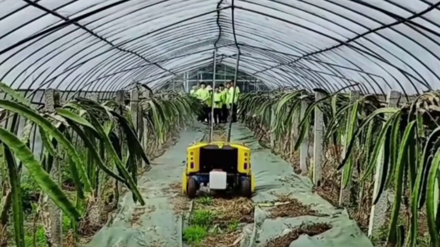 陈旭阳：草地上的“扫地机器人” 坐在家里把农活干了