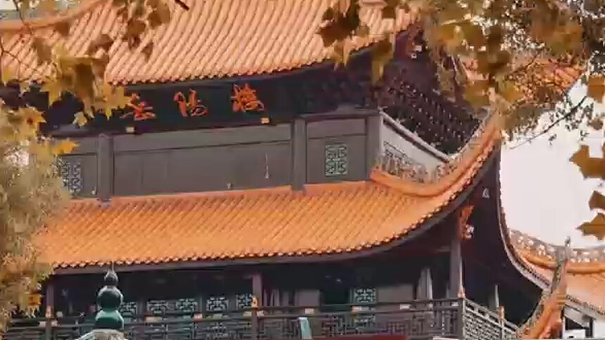 江湖不远 岳阳很近 岳阳首次承办国际赛事热血开赛 观赛赏湖 共赴岳阳之约！