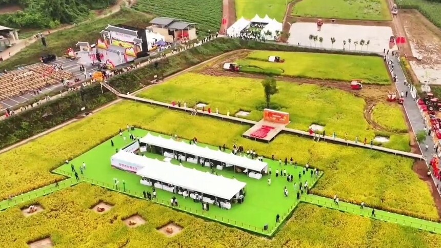 千城百县看中国｜四川资阳：农旅相融 绘就丰收图景
